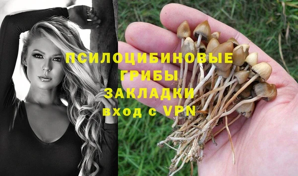 шишки Балабаново