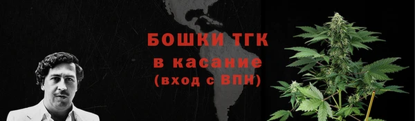 шишки Балабаново