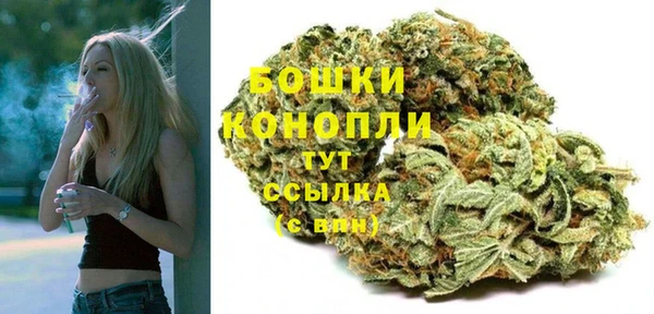 шишки Балабаново
