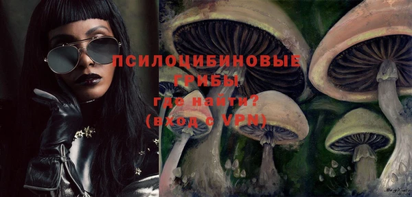 дмт Балахна