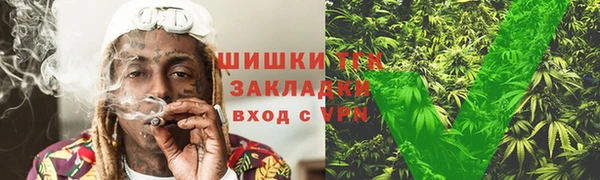 a pvp Пересвет