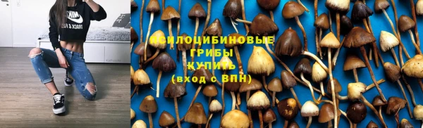шишки Балабаново