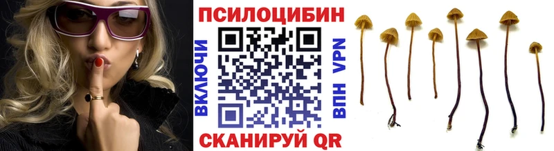 Галлюциногенные грибы мухоморы  mega рабочий сайт  Семилуки 